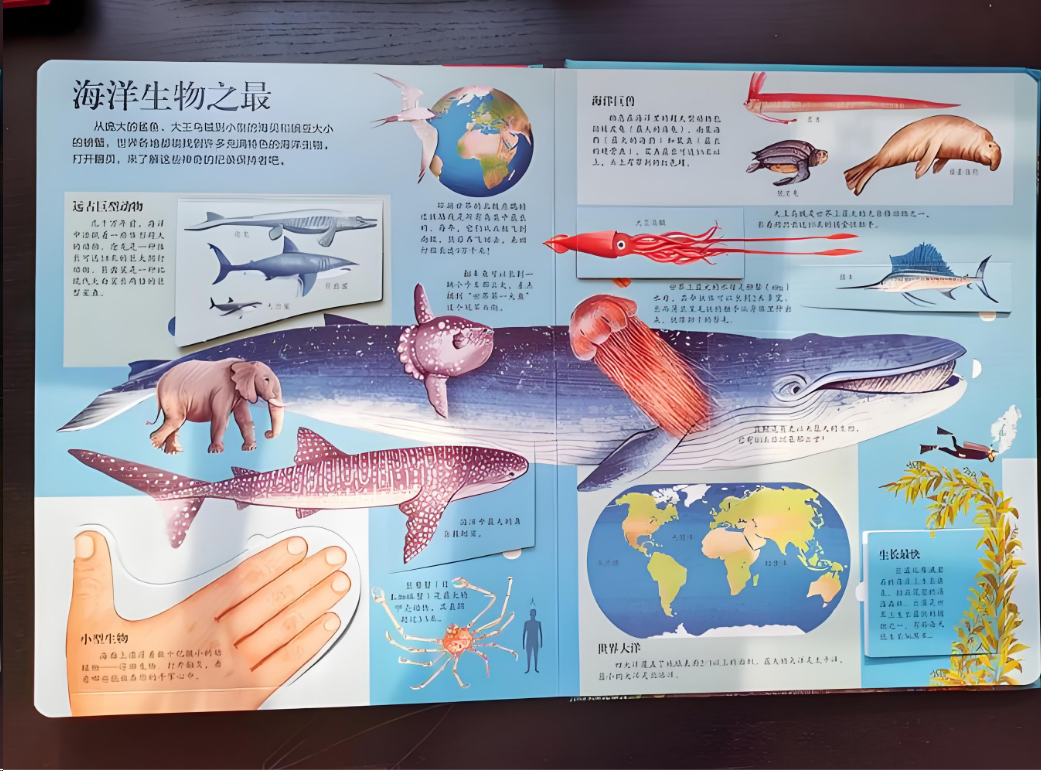 海洋探秘